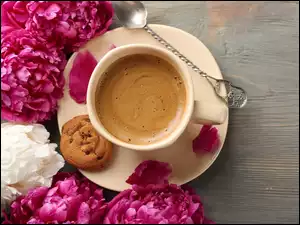 Kawa, Ciasteczko, Kwiaty, Filiżanka