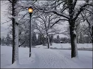 Zima, Drzewa, Park, Latarnie