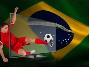 Mistrzostwa, 2014r, Świata, Brazylia