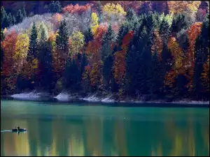 Lasy, Drzewa, Jezioro, Jesień, Łódka, Kolorowe