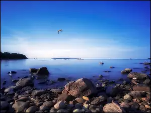 Morze, Kanada, Kamienie, Mewy