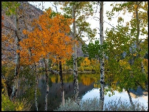 Jezioro, Brzozy, Jesień