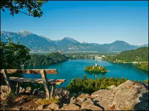 Drzewo, Bled, Jezioro, Słowenia, Góry, Ławka