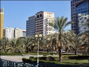 Miasta, Palmy, Chmur, Drapacze, Abu Dhabi, Skwer, Fragment