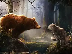 Wilk, Drzewa, Niedźwiedź, Las