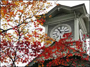 jesień, wieża zegarowa, Japonia, Sapporo, liście