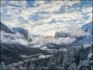Lasy, Yosemite, Zima, Kalifornia, Góry, Mgła