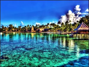 Domki, Tahiti, Morze, HDR, Wybrzeże, Palmy