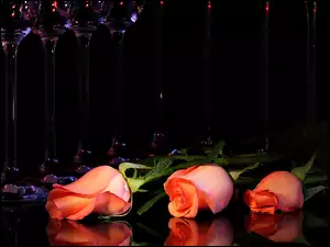 Kompozycja, Różowe Róże, Odbicie, Kieliszki