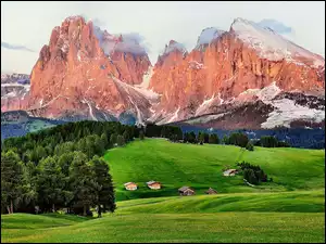 Góry, Domy, Enrosadira, Lato, Włochy, Las