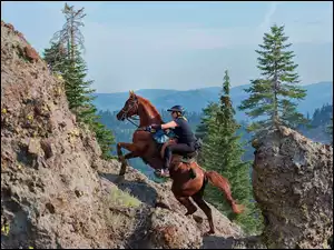 Koń, Choinki, Jeździec, Góry