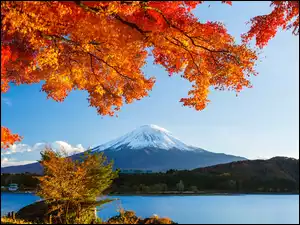 Japonia, Fudżi, Lasy, Jezioro, Drzewa
