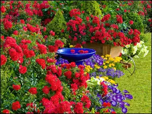 Ogród, Ozdoby, Ogródek, Kwiaty