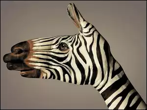 Bodypainting, Zebra