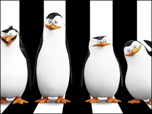 Postacie, Pingwiny, Serial, Z Madagaskaru, Animowany