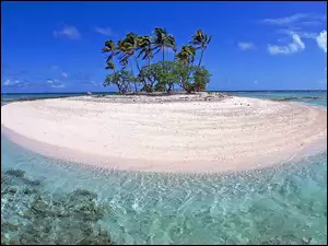 Palmy, Morze, Wyspa