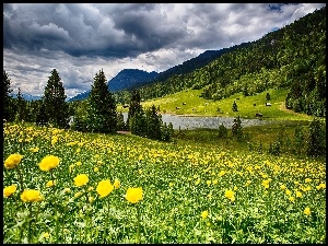 Góry, Jeziorko, Łąka, Kwiaty