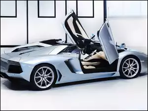 Roadster, Lamborghini, Aventador