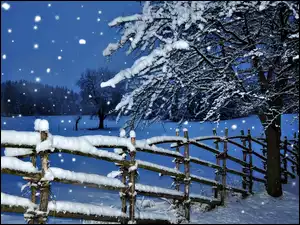 Ogrodzenie, Zima, Noc, Śnieg, Drzewa