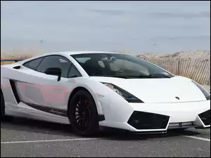 Gallardo, Lamborghini, Superleggera