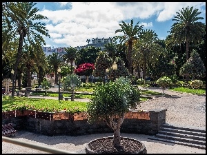 Las Palmas, Park, Hiszpania