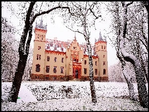 Drzewa, Pałac, Śnieg