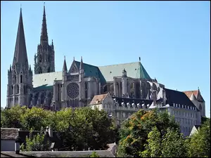 Chartres, Drzewa, Katedra, Domy