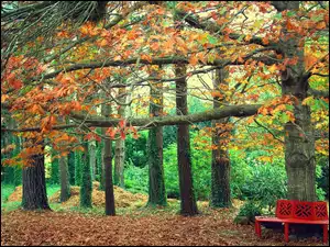 Jesień, Park, Drzewa, Ławka, Liście