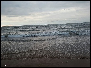 Morze, Fale