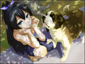 Pies, Manga, Dziewczyna, Anime, Słomka, Park