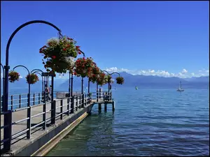 Szwajcaria, Kwiaty, Jezioro, Pomost
