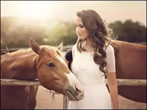 Piękna kobieta z końmi