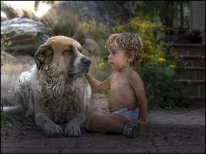 Pies Owczarek środkowoazjatycki i dziecko