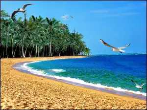 Plaża z palmami i mewy wzbijające się do nieba