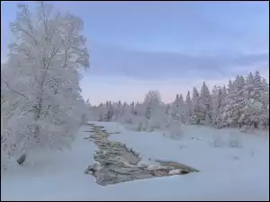 Zimowy krajobraz z zamarzniętą rzeką w lesie