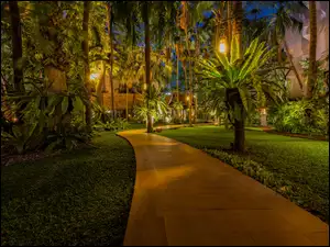 Park w Pattayi z palmami wzdłuż alejki
