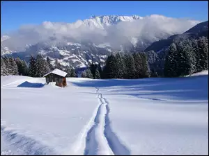 Drewniany dom na zaśnieżonym polu u podnóża górskiego lasu