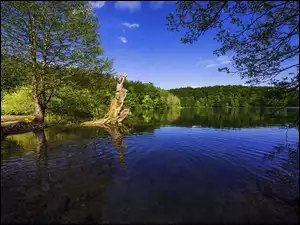 Jeziora Plitwickie w chorwackim Parku Narodowym