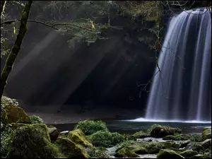Leśny wodospad wpadający do rzeki z omszalymi kamieniami w promieniach światła