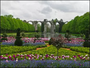 Tulipany, Staw, Niezapominajki, Paryż, Park, Francja, Kwiaty, Wersal, Most