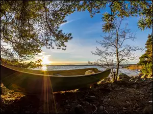 Łódka na brzegu jeziora wśród drzew w promieniach słońca