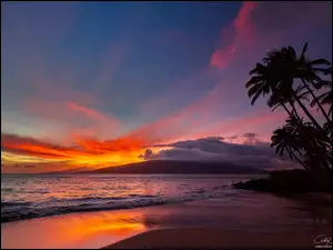 Palmy przy morskiej plaży na Hawajach o zachodzie słońca