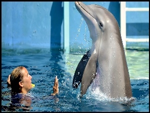 Kobieta szkoląca delfina w wodzie