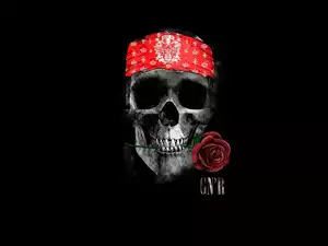 Plakat z czaszką promujący amerykański zespół hardrockowy Guns And Roses