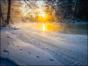 Zimowy krajobraz potoku Langinkoskiego w Finlandii o wschodzie słońca
