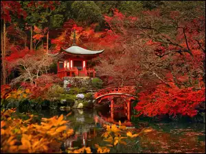 Jesień, Daigo-ji , Japonia, Kioto, Świątynia