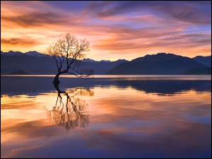Uschnięte drzewo na jeziorze w zachodzącym słońcu za górami