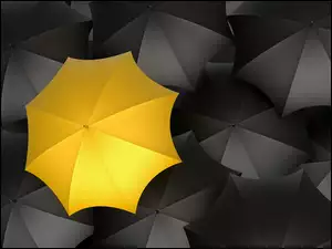 Czarne, Parasol, Parasole, Żółty