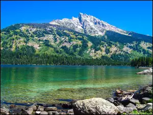 Park Narodowy Grand Teton, Jezioro Jenny Lake, Stany Zjednoczone, Kamienie, Stan Wyoming, Góry