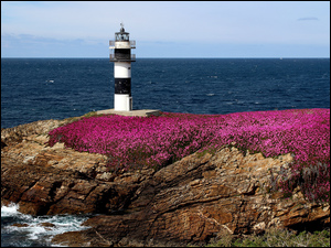 Latarnia morska na skale porośniętej kwiatami